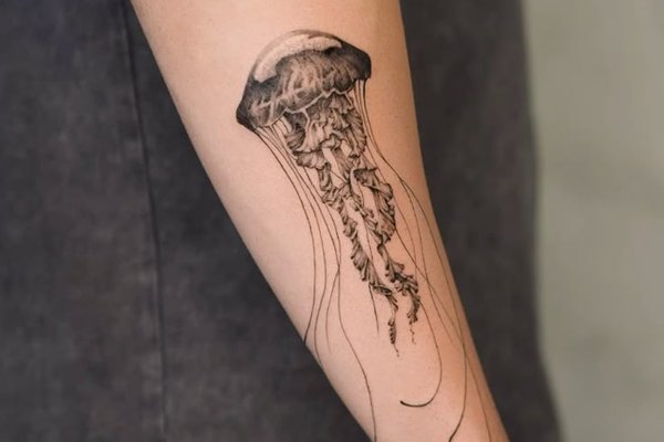 01ed436a34422c1ede852fc292859b86