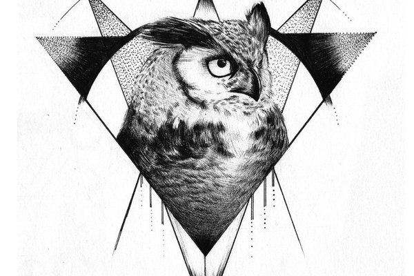 1615854062_14-p-geometricheskaya-tatu-sova-15.jpg