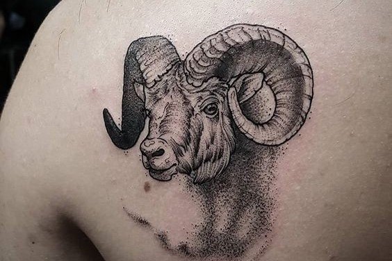 162b1832512ede6832631c6c1d3bd6fb