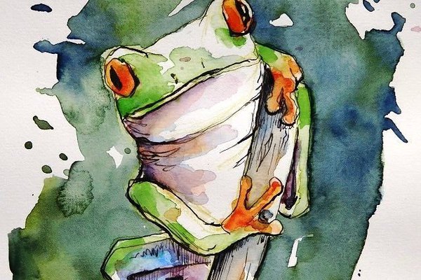 1630967545_2-papik-pro-p-lyagushka-risunok-akvarel-3.jpg