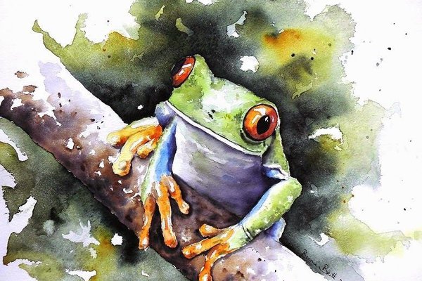 1630967562_19-papik-pro-p-lyagushka-risunok-akvarel-21.jpg