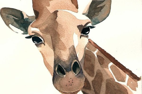 1630975595_1-papik-pro-p-risunok-zhiraf-akvarelyu-1.jpg