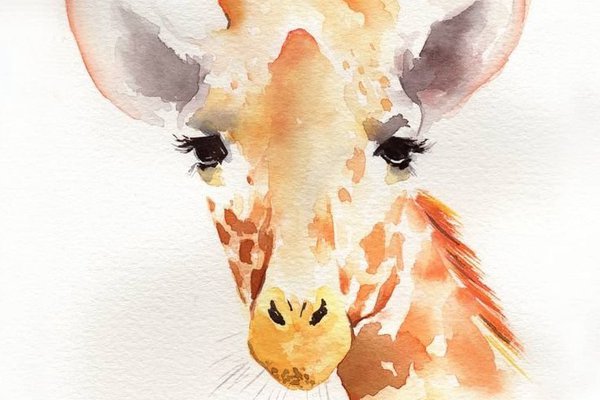 1630975597_3-papik-pro-p-risunok-zhiraf-akvarelyu-3.jpg