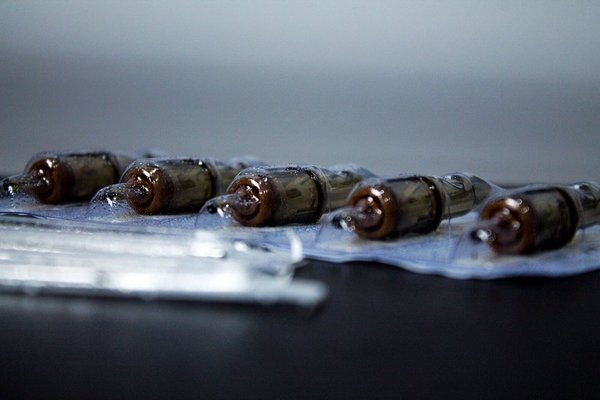 163647101_170869924869156_4813472029767416108_n