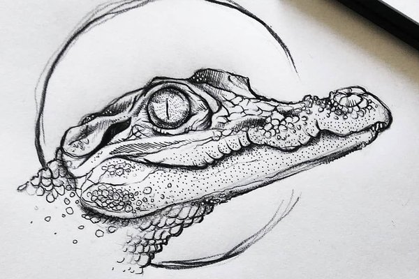 1639790564_1-flomaster-club-p-krokodil-sketching-krasivie-zarisovki-1.jpg
