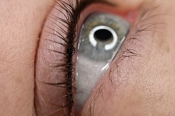 179542359_140439324728756_7793270963475524070_n