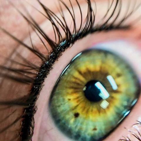 190383729_1143059176203348_6048337949099385137_n