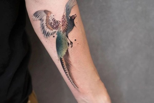 1d911b52c7b3047d16e5ded287f84531