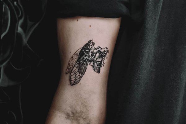 20241221-dd5f5aa9-d737-421e-a427-fcbb6efe6919