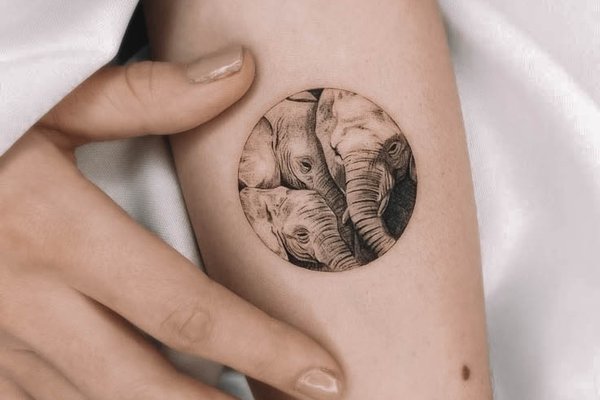 20250307-ccd528914eae69c9463ff5c8ea83dac1