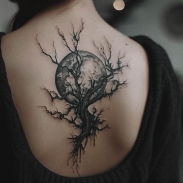 20250310-660e70583160ccb6a3aba27d3bcc017a