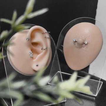 244995744_667451620903448_5252192318039947643_n