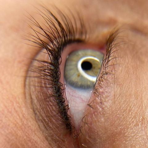 245177288_176472704639692_5435370457477913749_n