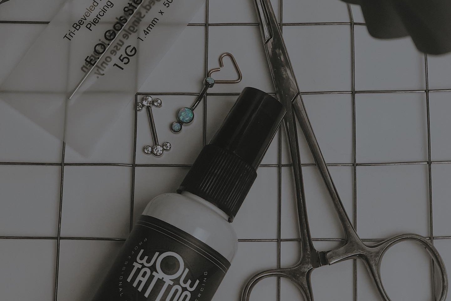 245995561_125343523201914_7913871838146640420_n