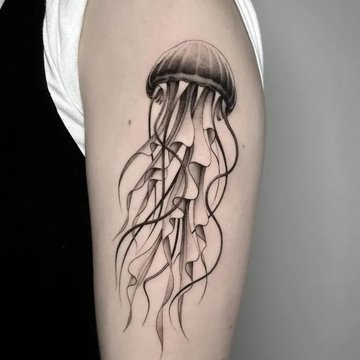 248e56b01f5c343b0736a8f5c713ca89