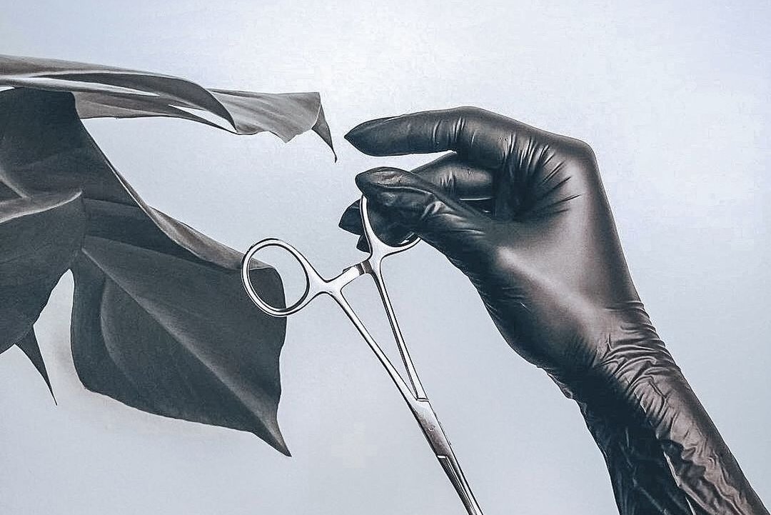 253724878_304288158191123_7436498684915918477_n