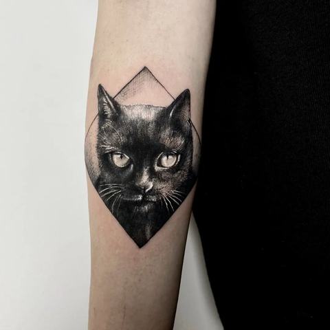 311239060_196329452781008_6947092436242598217_n