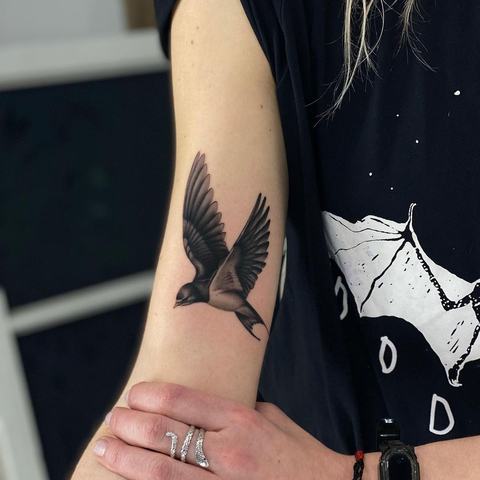 322792427_1636910513411517_1444768152504976664_n