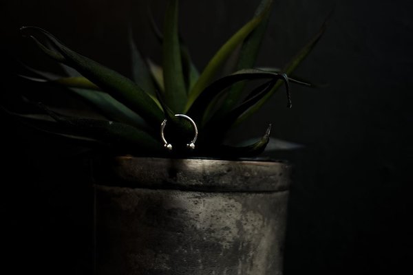 346574683_1477238276146171_8102183566452763505_n