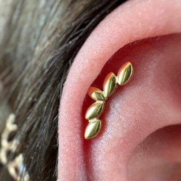 353883543_179727585055494_8192210100654283786_n