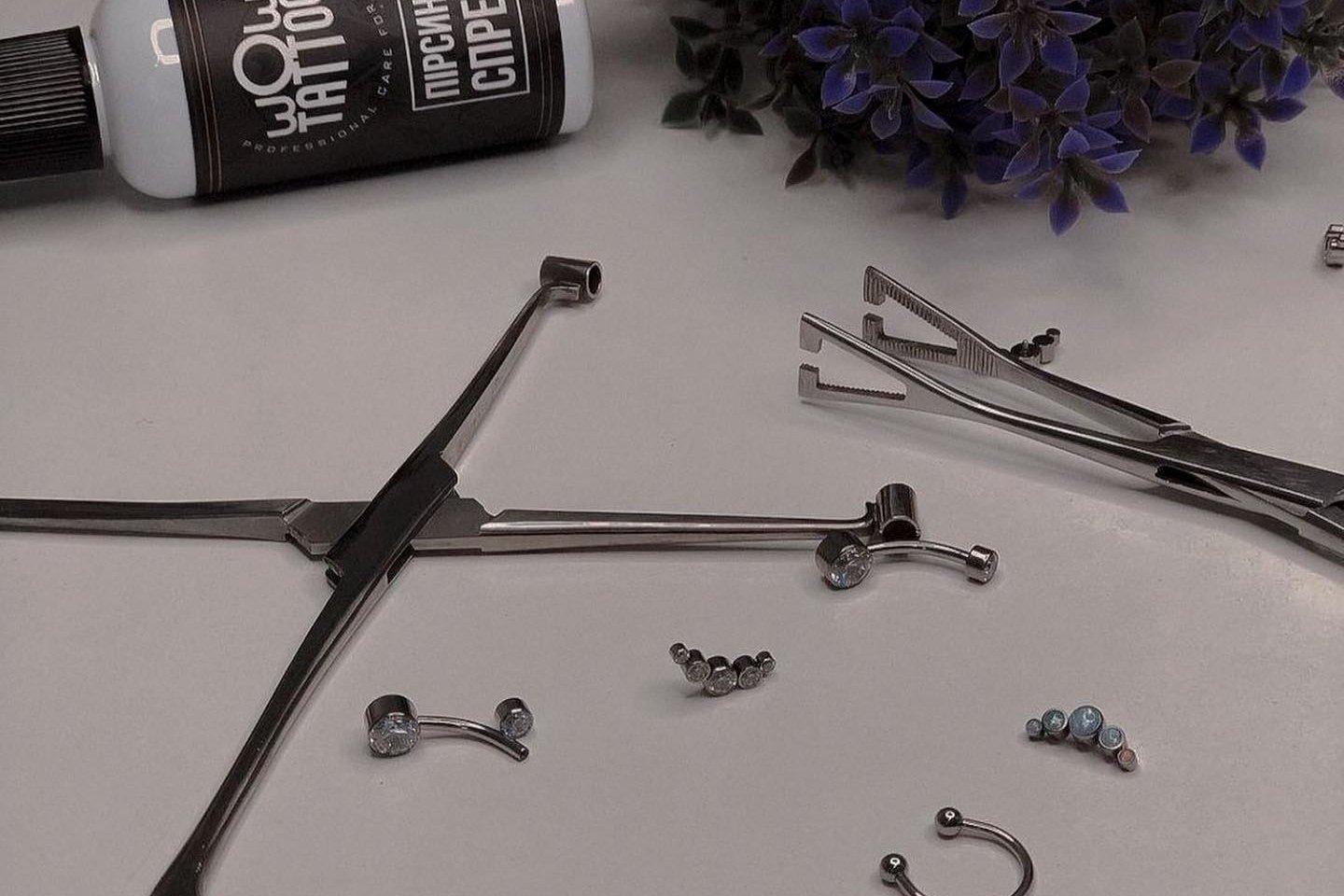 355074000_7346125128747888_7522612281294013031_n