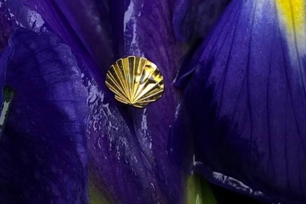 355892374_1137456813629258_2773802976611605762_n