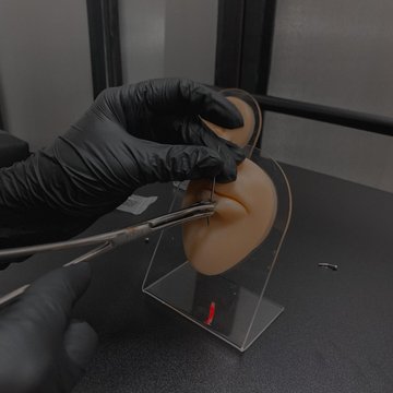 368007234_17876830334939133_2478246913695720260_n