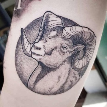 393b4c1959ae29b2340679cea43ef6f4