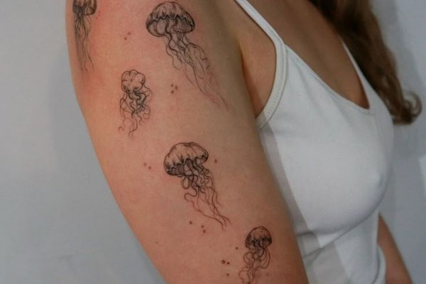 41bdbb1a72101850405d664358111c7e