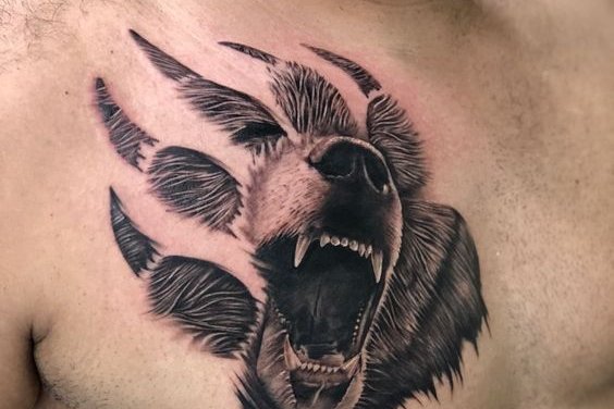 5151480aef5a701f3b4ba5144a202bb6