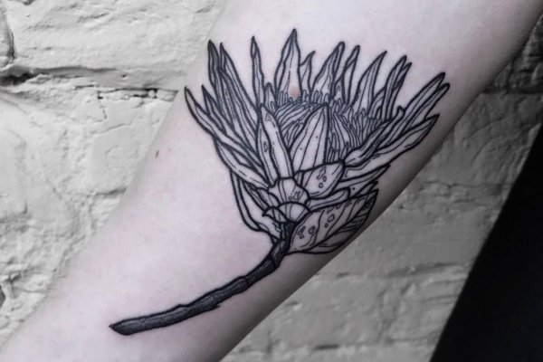 566dbc1a-e476-4d60-bb93-eae6adf917e0