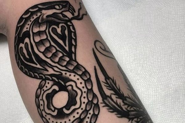 611476de6e0224e613ae5ab923497ce8