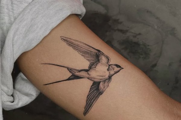 70ed576b9fffb8f2aa6754b66b2fbb06