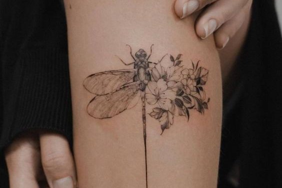 73376a8e0fcab0215e96347f511a54e1