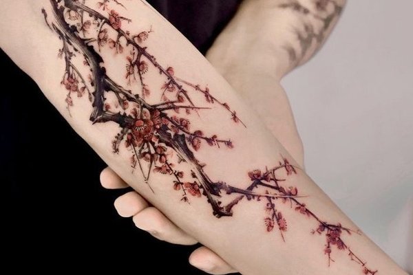 83b05e232fe4b0ed613c4bbd64c44d58