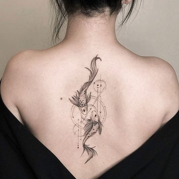 886d511c5ac6853c5340fd71734e7a3a