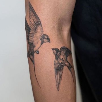 8a7c433db7ba89dafe7176334b840c04