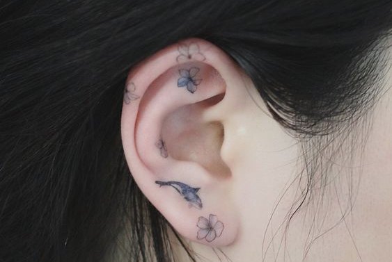 8acea94baa2fd91b49b470397e443435