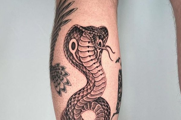 8eea84e27d8dc5d21c9603040d0cef4d