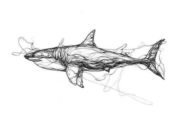 8f8e1116054f24e82f72ba28c0538ca3