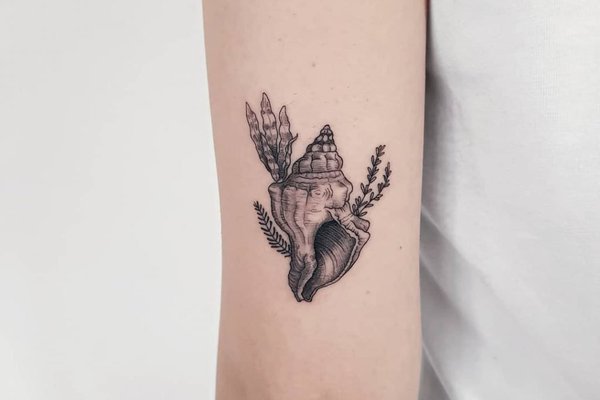 Beautiful-And-Elegant-Seashell-Tatt.original.format-jpeg.jpg