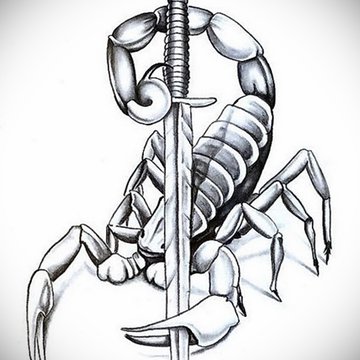 Эскиз-для-татуировки-скорпион-16.01.2021-№0048-scorpion-tattoo-sketch-tatufoto.com-.jpg