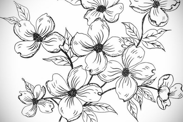 Фото-эскизы-тату-цветы-13.09.2019-№011-flower-sketch-designs-tattoo-photo.ru_.jpg