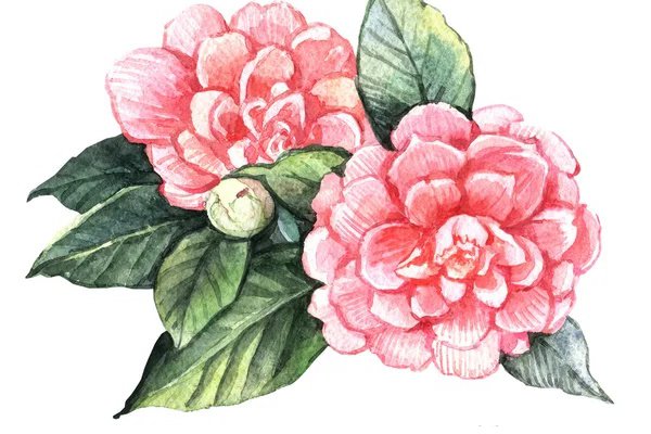 Inkeddepositphotos_70284933-stock-photo-watercolor-camellia-flowers_LI.jpg
