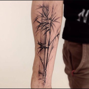 Sketchy-Bamboo-Tattoo.jpg