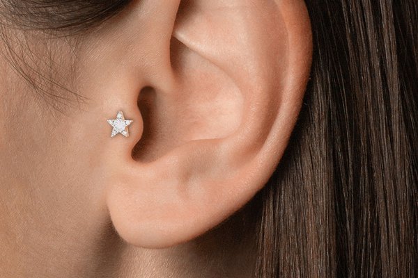Tragus.jpg