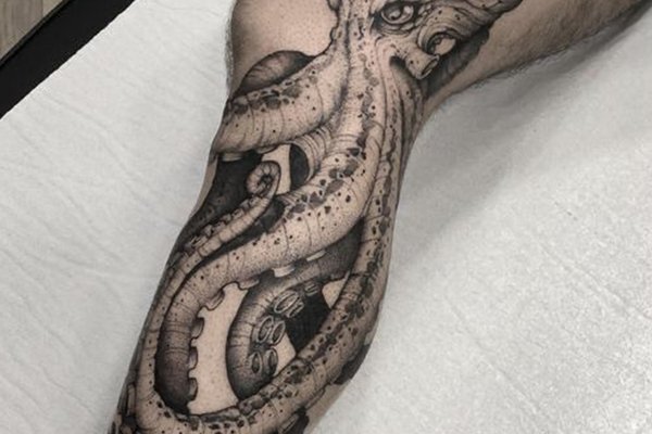 8d8968f1f7a8d636bc730c615f537c92