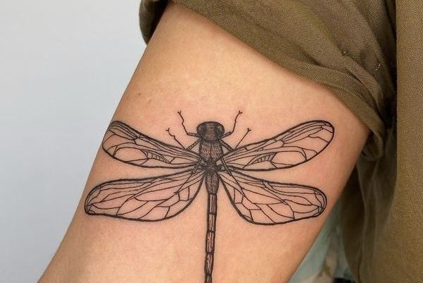 a036df1b6b22f77fe7242d91e8aa14bb