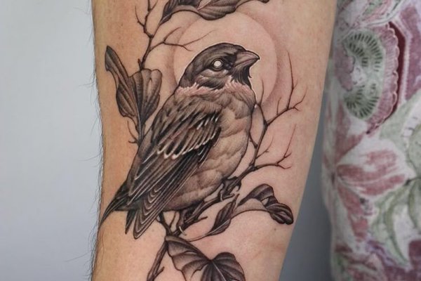 acdfc8e2b1e3456861242d4427a97f6f