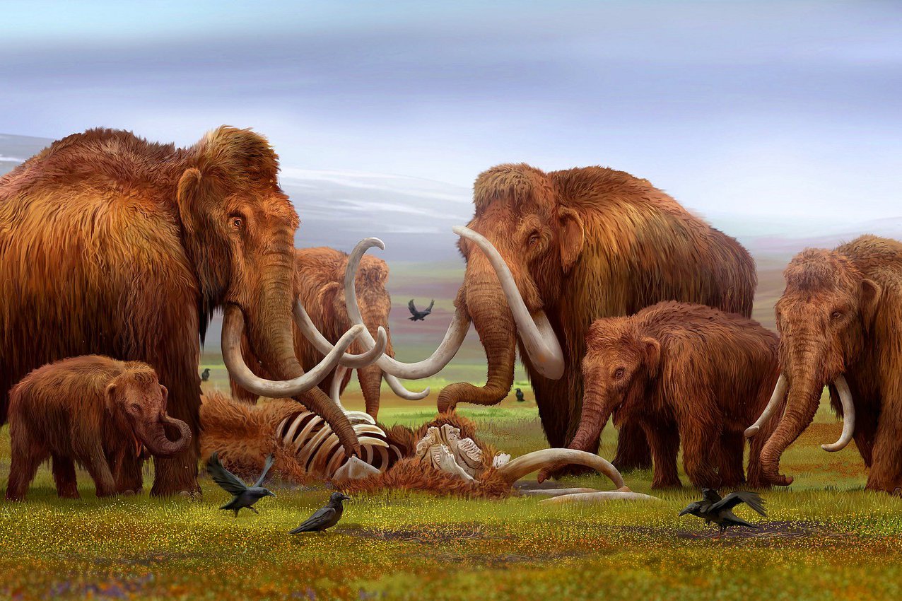 art-mammoths-mamont-mamonty-bivni-trup-skelet-kosti-vorony-p.jpg
